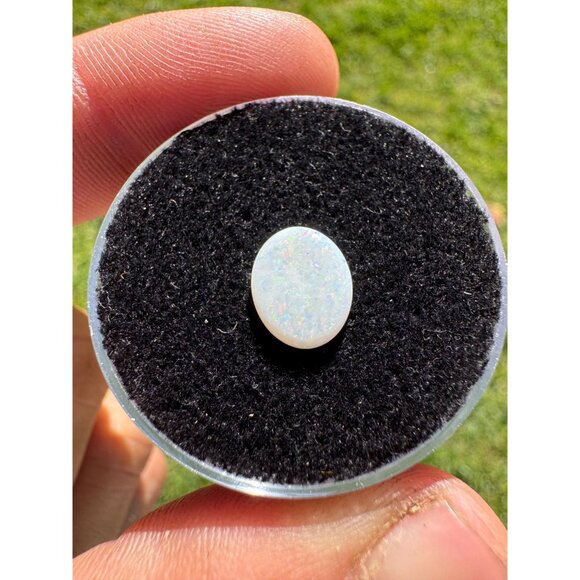 Australian Opal Cabochon - 1.00 carat #185 in Display Box - Picture 2 of 9